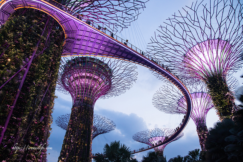 延伸閱讀：【新加坡景點】新加坡必去必看，濱海灣花園天空樹燈光秀、穿梭於天空樹間的空中步道 (內有影片)