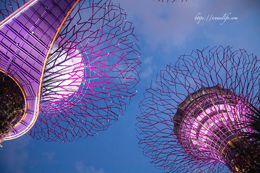 濱海灣花園 天空樹