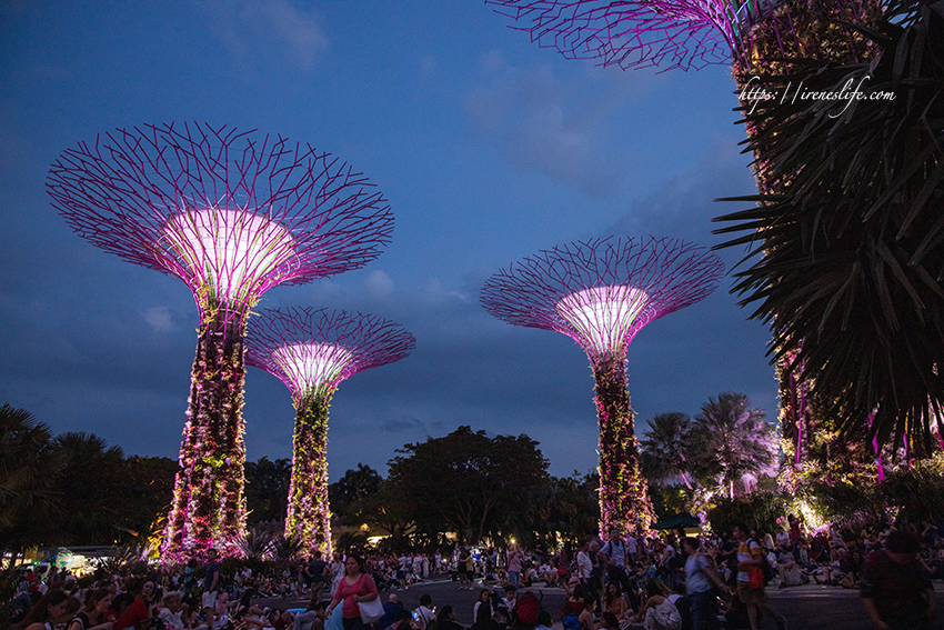 濱海灣花園 天空樹