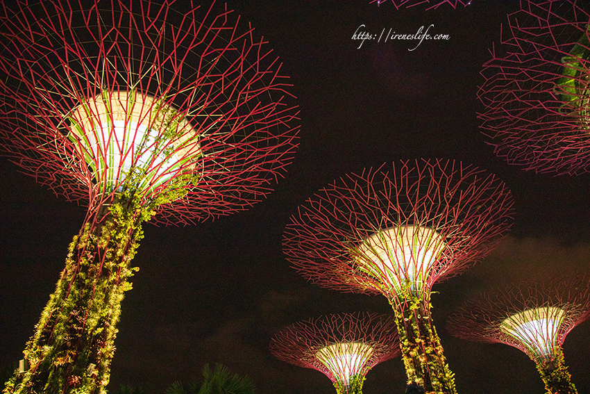 濱海灣花園 天空樹