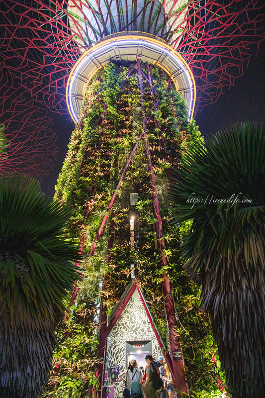 濱海灣花園 天空樹