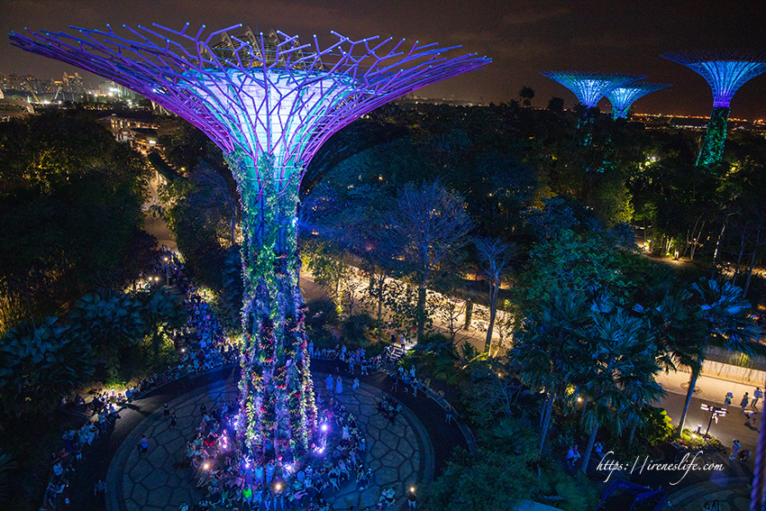 濱海灣花園 天空樹