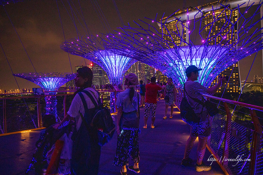 濱海灣花園 天空樹