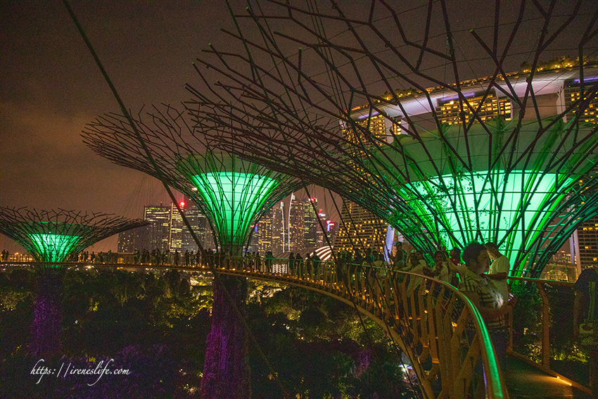 濱海灣花園 天空樹