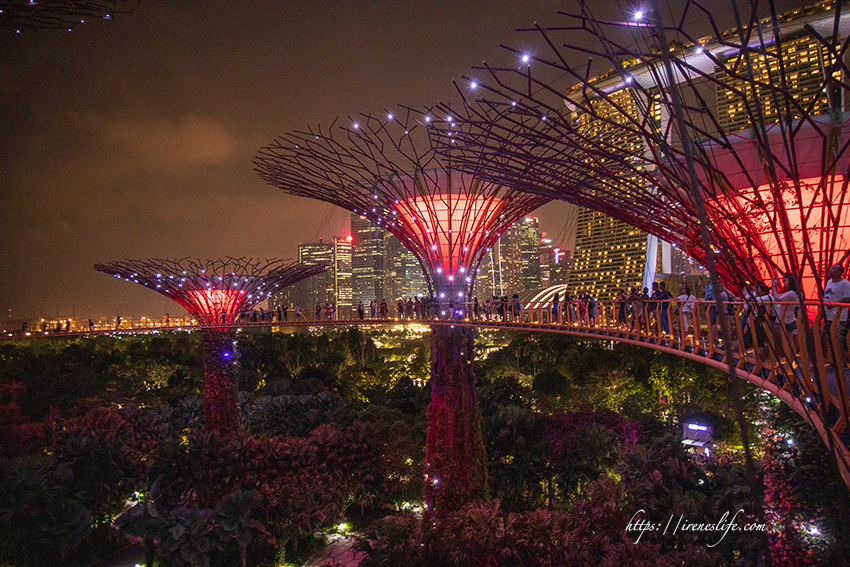 濱海灣花園 天空樹