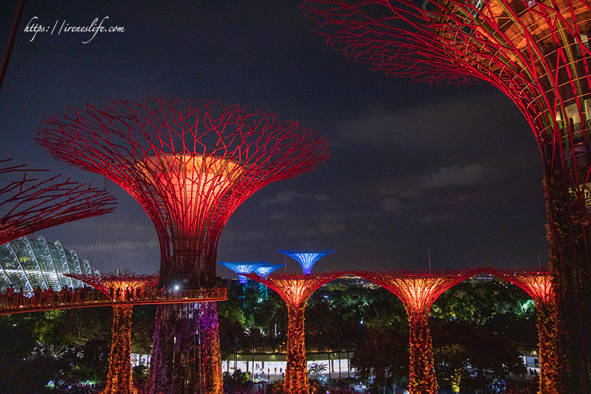 濱海灣花園 天空樹