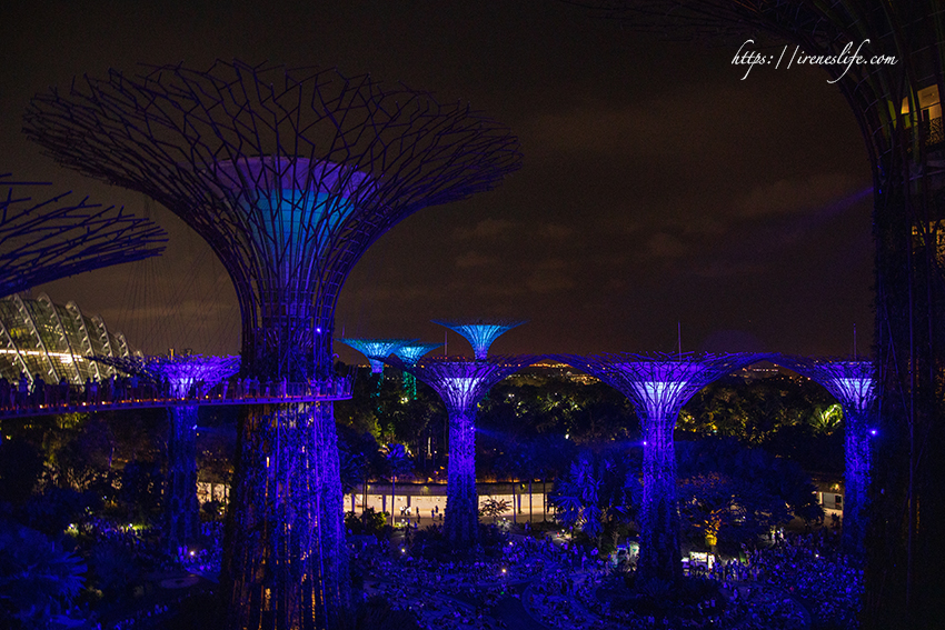 濱海灣花園 天空樹