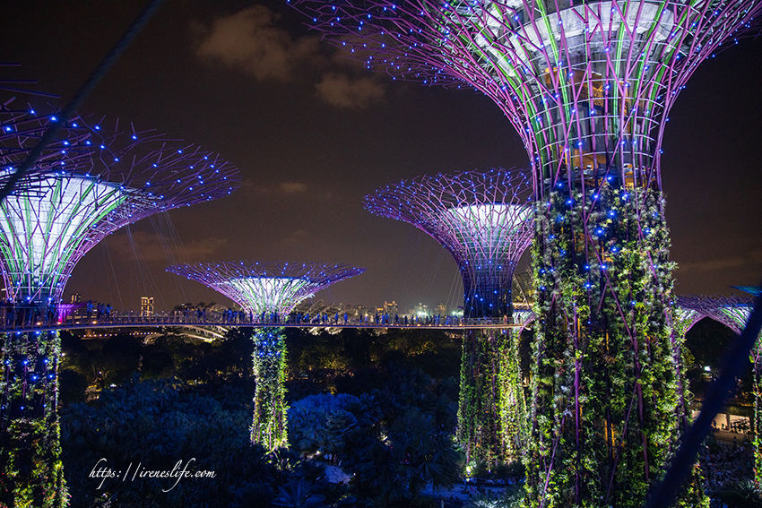 濱海灣花園 天空樹