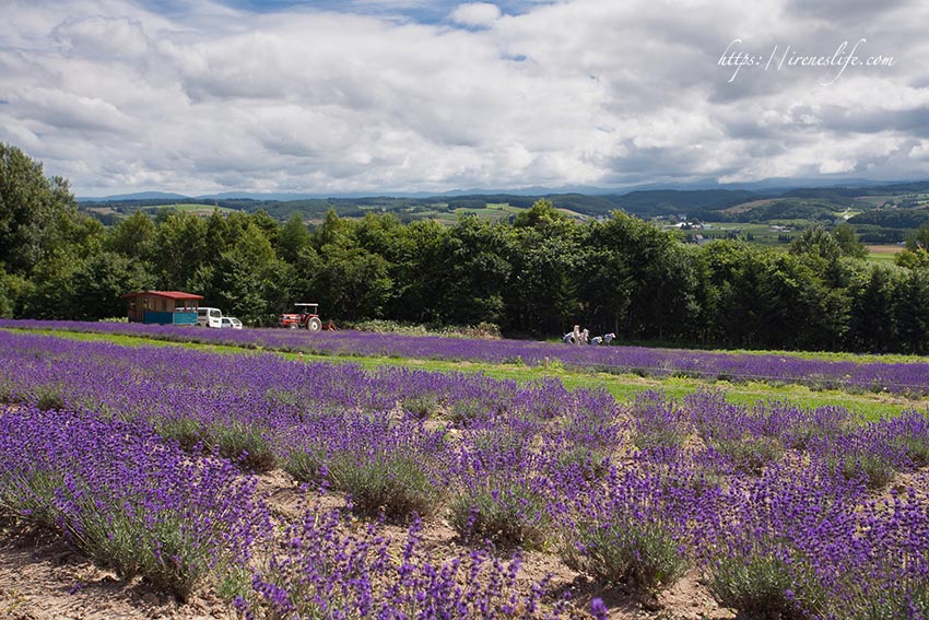 Flower Land上富良野