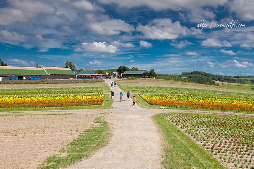 Flower Land上富良野