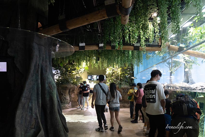 Xpark水族館