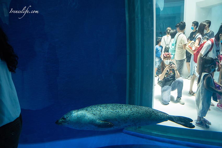 Xpark水族館