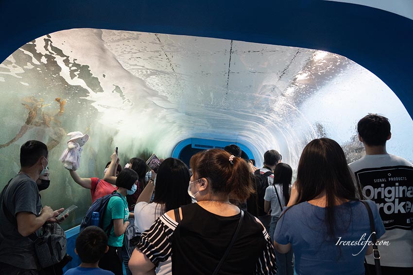 Xpark水族館