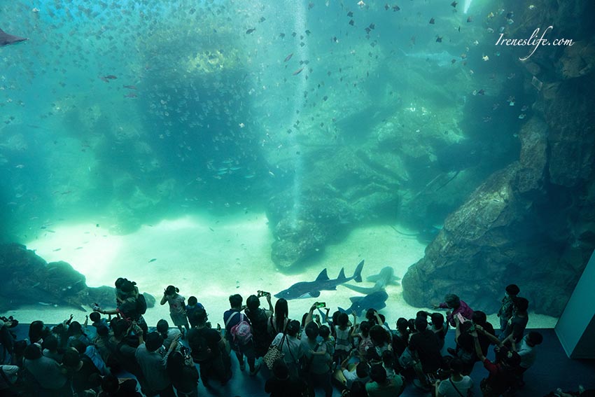 Xpark水族館