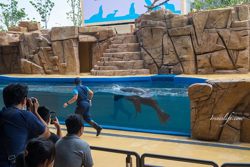 Xpark水族館