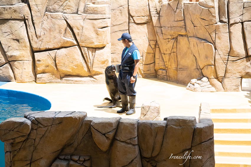 Xpark水族館