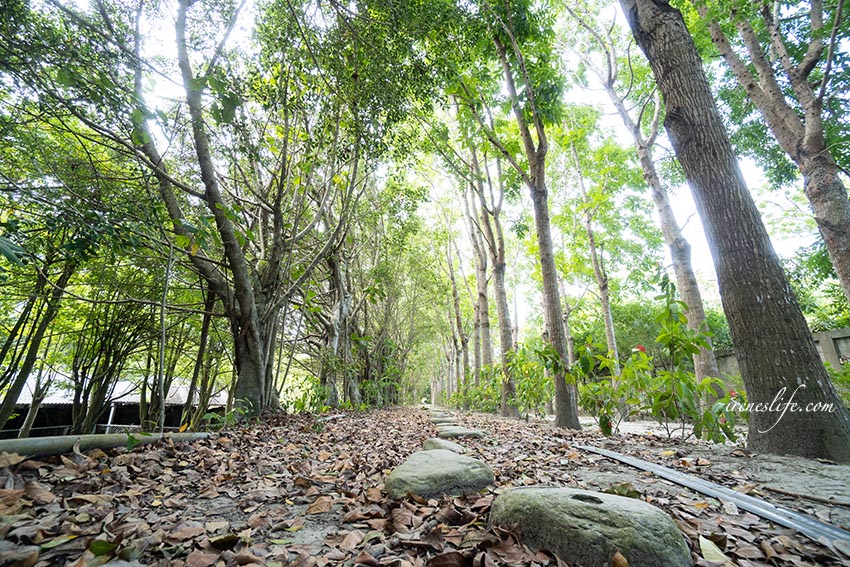 日暉國際渡假村