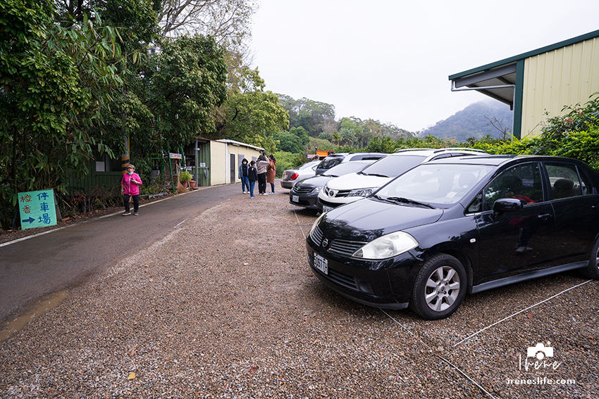 【苗栗】苗栗景觀餐廳，可以採橘子的橙香森林，橘子隧道、玻璃屋、大草皮、盪鞦韆、餵兔子的親子景點