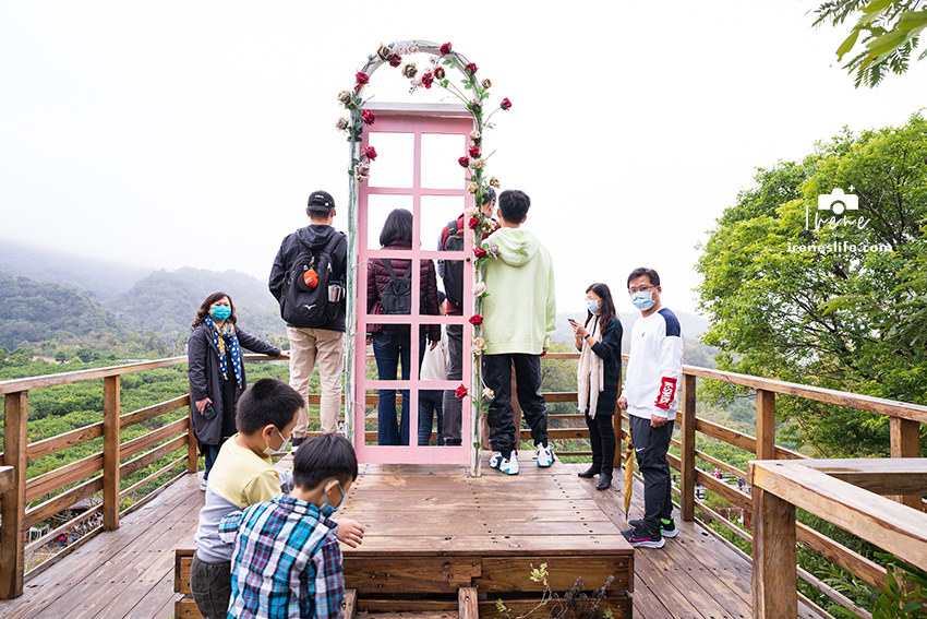 【苗栗】苗栗景觀餐廳，可以採橘子的橙香森林，橘子隧道、玻璃屋、大草皮、盪鞦韆、餵兔子的親子景點