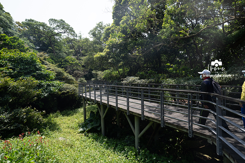 林梢步道