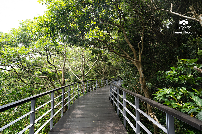 林梢步道