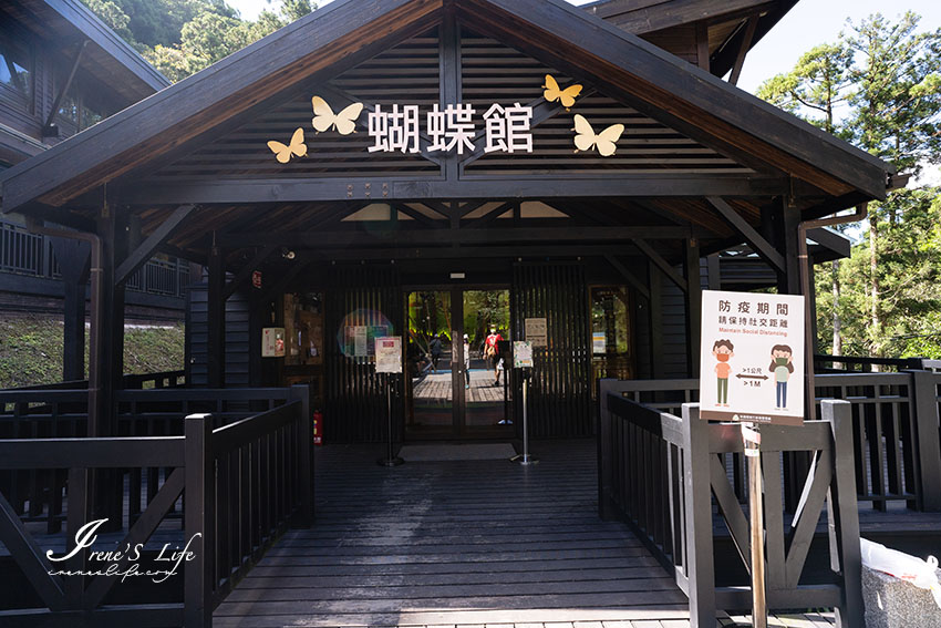 涼爽的秋，一起享受森林芬多精吧！小孩也適合走的親子步道，滿月圓國家森林遊樂區