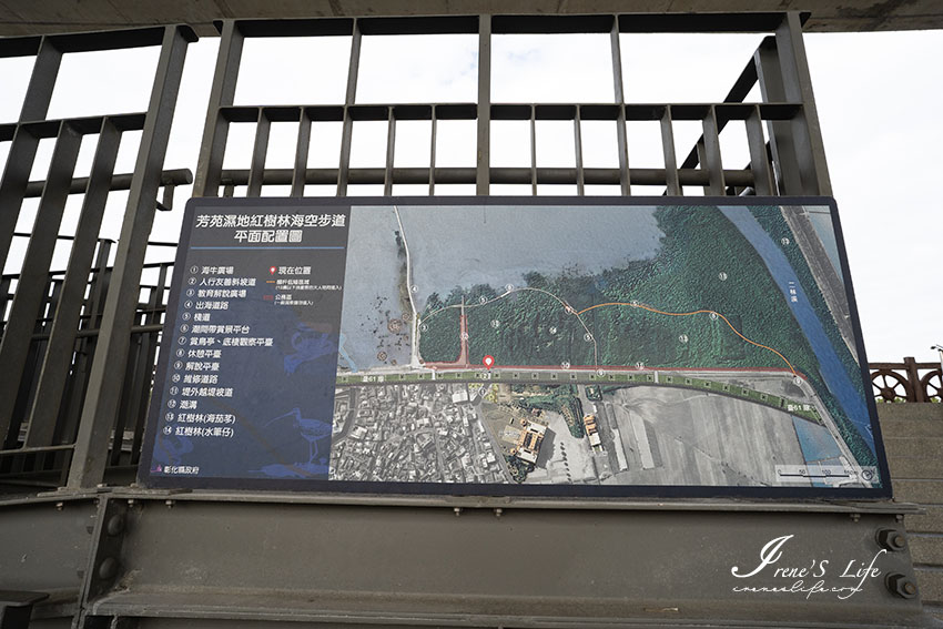 彰化新景點，適合親子共遊的芳苑濕地海空步道，平緩好走沿途觀賞潮間帶濕地(附停車資訊)