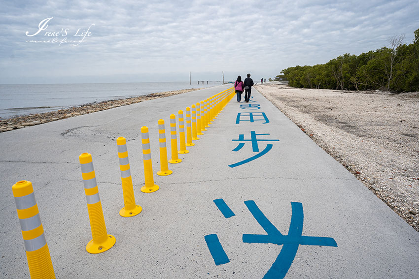 彰化新景點，適合親子共遊的芳苑濕地海空步道，平緩好走沿途觀賞潮間帶濕地(附停車資訊)