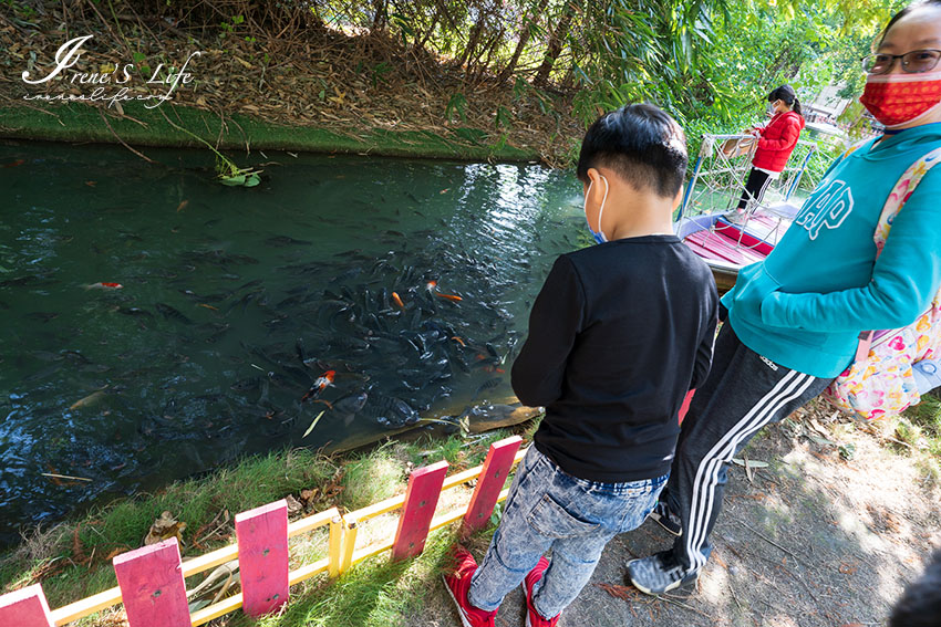 彰化親子景點｜免門票，黏土DIY、坐小火車、餵魚，館內還有路易莎咖啡店，親子同樂好去處