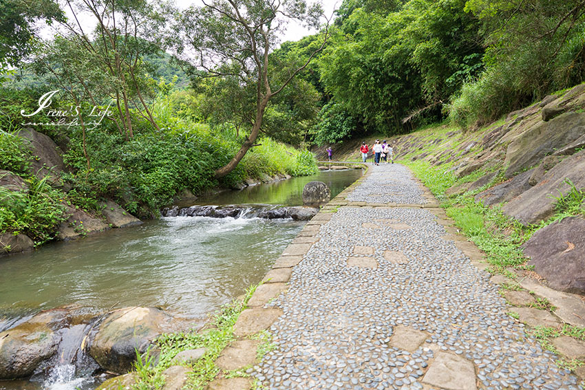 近大湖公園的台北親子步道，可玩水、輕鬆好走、沿途綠蔭遮蔽，還有季節限定的花海 @Irene&#039;s 食旅．時旅