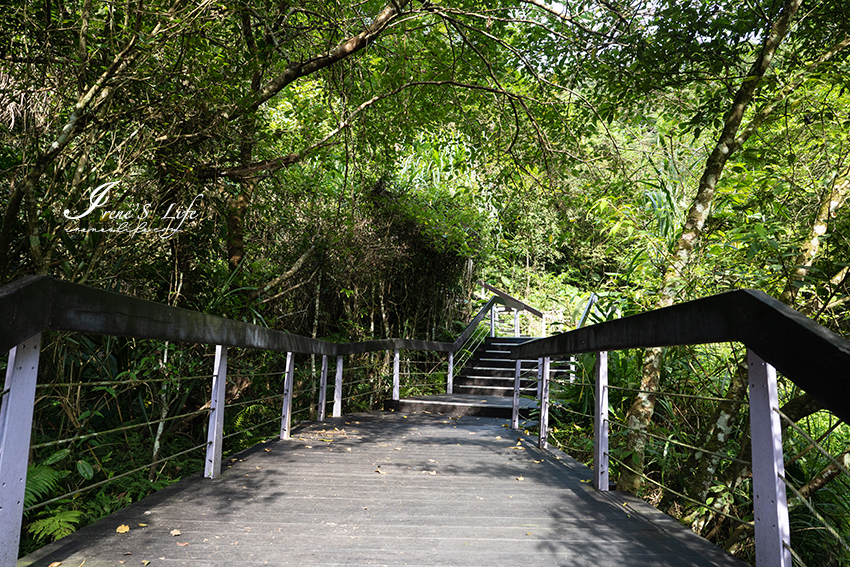 大溪親子步道，平坦好走、樹蔭繁盛，全程涼爽少曝曬，舊百吉隧道 ＆ 百吉林蔭步道