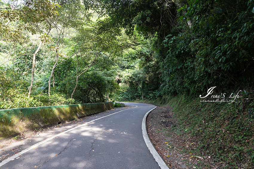 大溪親子步道，平坦好走、樹蔭繁盛，全程涼爽少曝曬，舊百吉隧道 ＆ 百吉林蔭步道