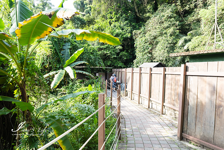 大溪親子步道，平坦好走、樹蔭繁盛，全程涼爽少曝曬，舊百吉隧道 ＆ 百吉林蔭步道