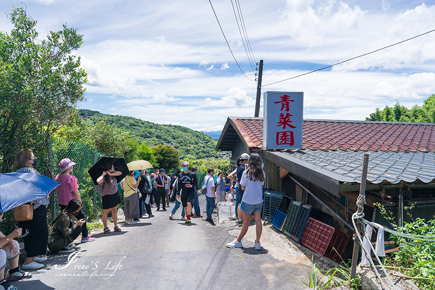 陽明山竹子湖人氣最高的青菜園，不論平日假日都客滿，價格親民、白斬雞有夠讚