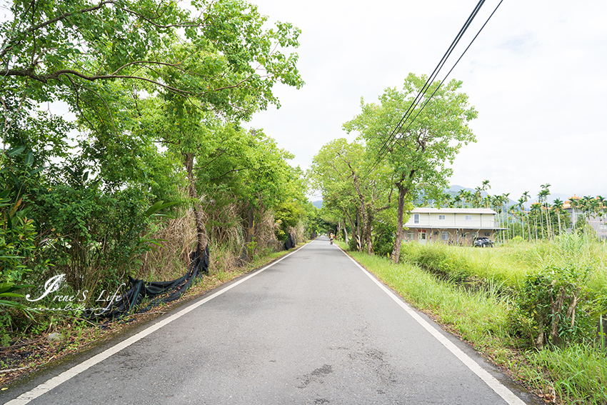 宜蘭景點｜生態瓶DIY、戲水區、釣魚體驗、魚咬腳皮、滑竹筏、腳踩雲霄飛車，親子共遊好去處