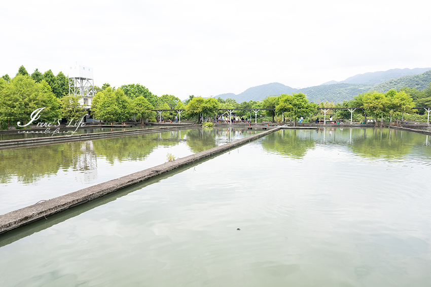 宜蘭景點｜生態瓶DIY、戲水區、釣魚體驗、魚咬腳皮、滑竹筏、腳踩雲霄飛車，親子共遊好去處