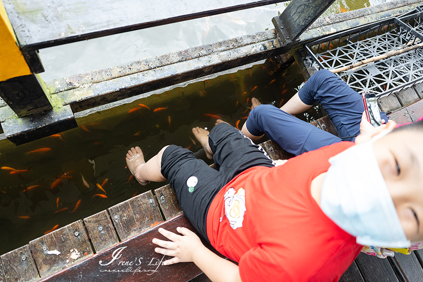 宜蘭景點｜生態瓶DIY、戲水區、釣魚體驗、魚咬腳皮、滑竹筏、腳踩雲霄飛車，親子共遊好去處