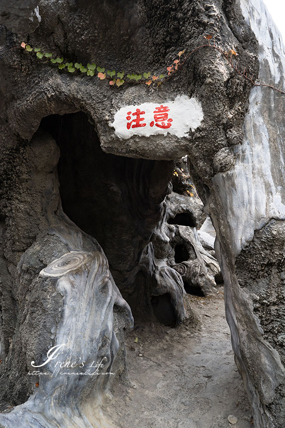 雲林免費景點，超美的庭園迷宮，居高臨下的彩虹橋，全程走完至少要一個小時