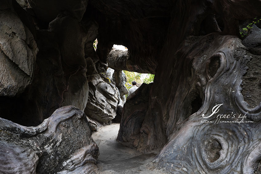 雲林免費景點，超美的庭園迷宮，居高臨下的彩虹橋，全程走完至少要一個小時