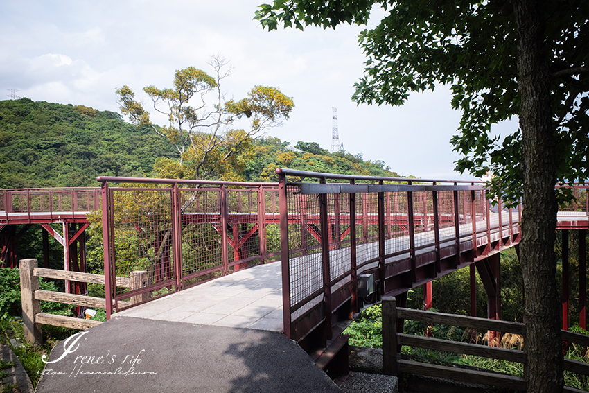 台北近郊的森林系環狀步道，有遮陰、輕鬆好走的小溪頭步道，一路走到碧山露營場超美的空中廊道