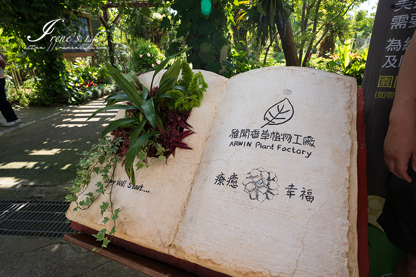 苗栗免門票景點｜滿滿香草植物、玫瑰花園、多肉植物超療癒，還有脈輪手沖咖啡及沙拉