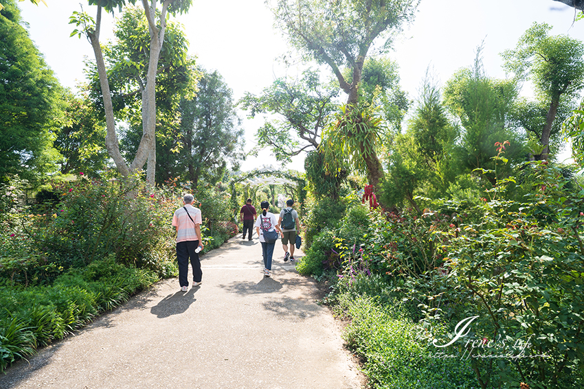 苗栗免門票景點｜滿滿香草植物、玫瑰花園、多肉植物超療癒，還有脈輪手沖咖啡及沙拉