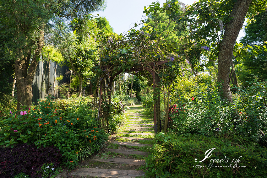 苗栗免門票景點｜滿滿香草植物、玫瑰花園、多肉植物超療癒，還有脈輪手沖咖啡及沙拉