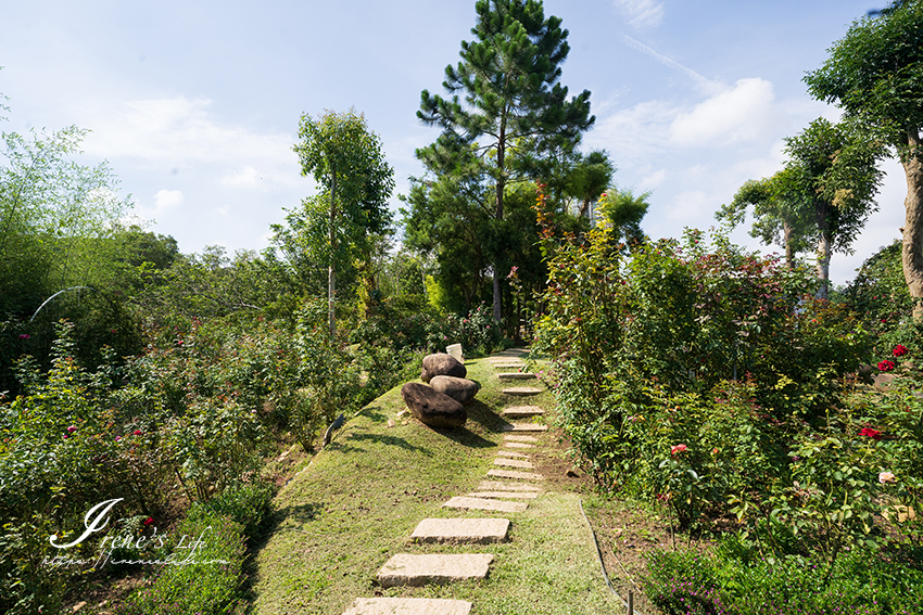 苗栗免門票景點｜滿滿香草植物、玫瑰花園、多肉植物超療癒，還有脈輪手沖咖啡及沙拉