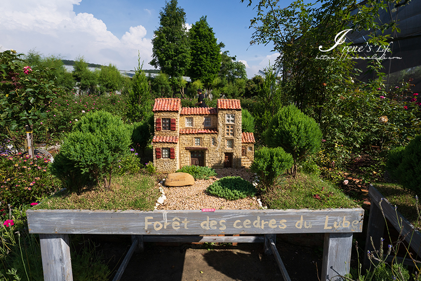 苗栗免門票景點｜滿滿香草植物、玫瑰花園、多肉植物超療癒，還有脈輪手沖咖啡及沙拉