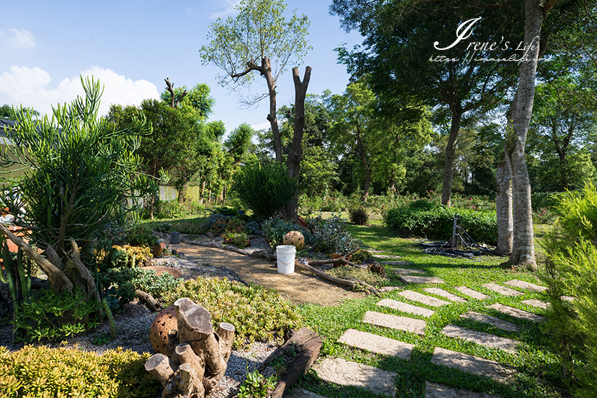 苗栗免門票景點｜滿滿香草植物、玫瑰花園、多肉植物超療癒，還有脈輪手沖咖啡及沙拉