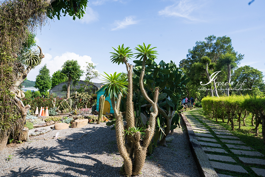 苗栗免門票景點｜滿滿香草植物、玫瑰花園、多肉植物超療癒，還有脈輪手沖咖啡及沙拉