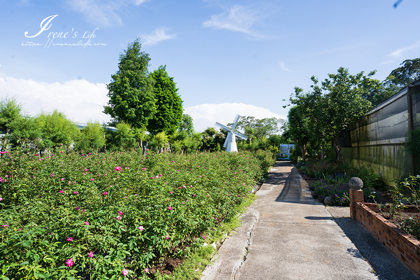 苗栗免門票景點｜滿滿香草植物、玫瑰花園、多肉植物超療癒，還有脈輪手沖咖啡及沙拉