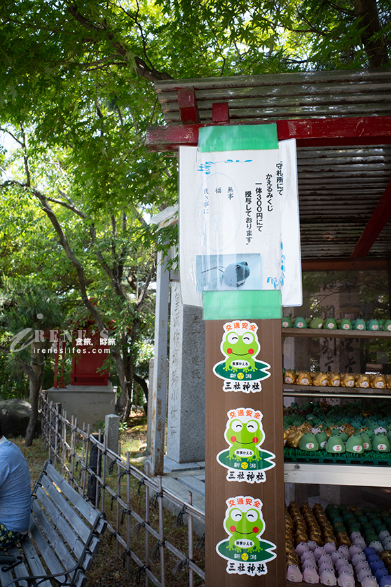 新潟市內的三社神社，環境很清幽，滿滿青蛙御守群，一起來找出寺廟內藏著的6隻青蛙吧