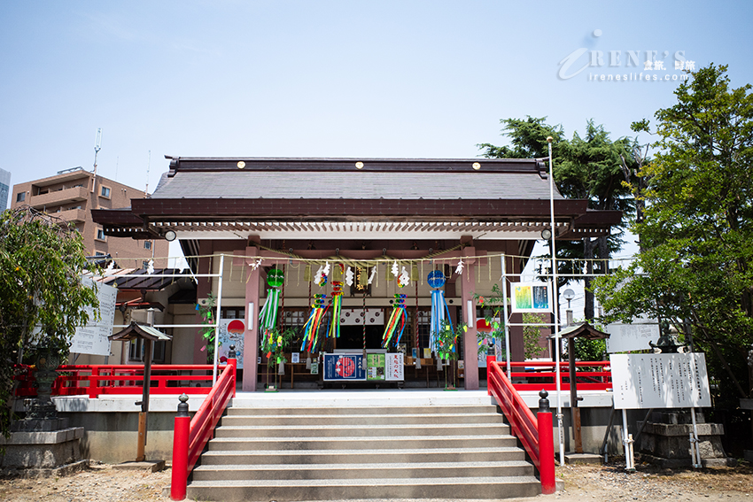 新潟市內的三社神社，環境很清幽，滿滿青蛙御守群，一起來找出寺廟內藏著的6隻青蛙吧